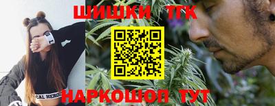 ешки Дубна