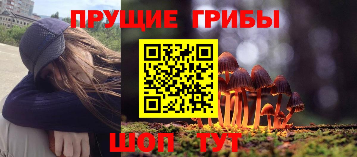 Мурино  Галлюциногенные грибы Psilocybe  Вход с VPN 